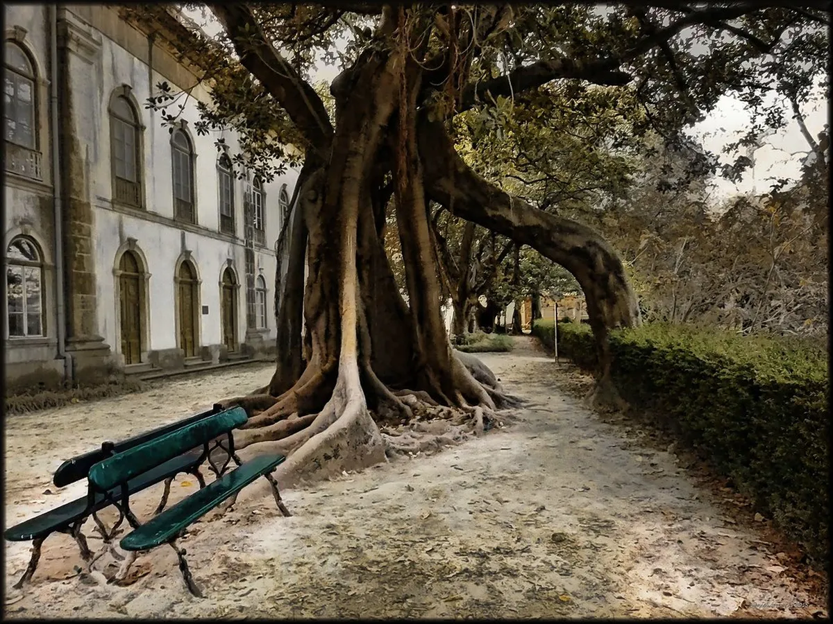 Weekend in Lisbon: 10 Essential Planning Tips & Itinerary